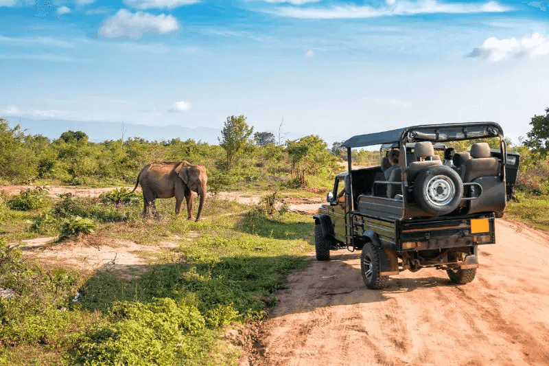 Governor's Camp Udawalawe lakefront eco-lodge on Kiriibbanara Wewa