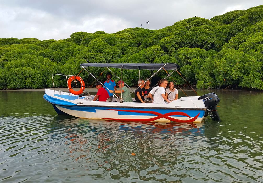 Hamilton Canal & Kelani River Boat Cruises