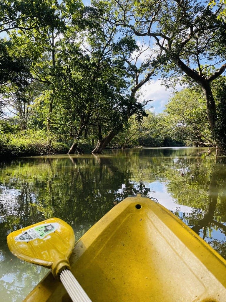 Kayaking on Raalmadu Oya in Wilpattu